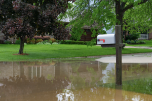 Flooded property at a house in Prospect Heights, Illinois