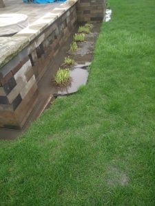 backyard-drainage-solutions