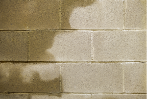 Moisture in the basement of a house in Niles, Illinois