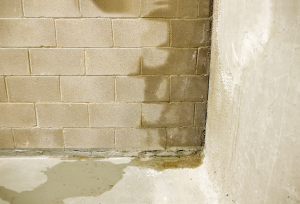 basement-water-seepage