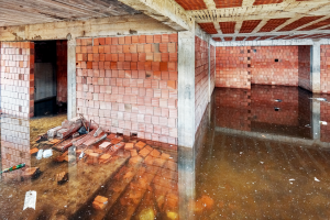 flooded-home-basement