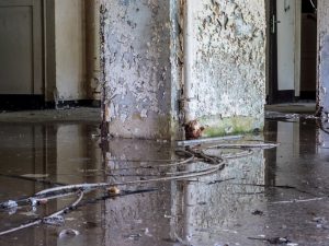 Flooded basement in Lake Zurich, Illinois