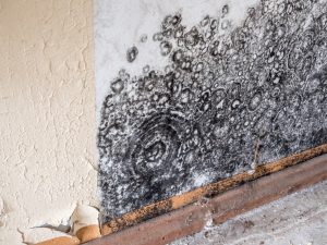 Basement waterproofing at a house in Westmont, Illinois