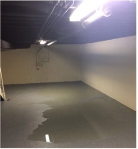 Basement waterproofing company in Lake Forest, Illinois