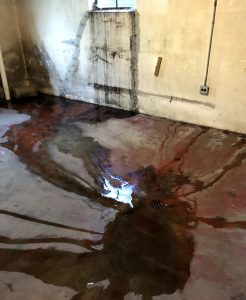 Basement waterproofing contractor in Downers Grove Illinois