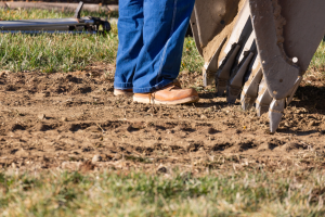 Yard grading contractor in Evanston Illinois