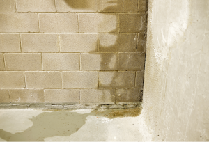 Basement waterproofing company in Highland Park Illinois