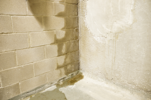 Basement waterproofing company in Hazel Crest Illinois