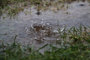 Basement Waterproofing Company in Homewood, Illinois