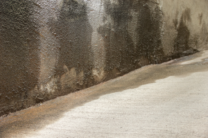 Basement Waterproofing Company in Glen Ellyn, Illinois