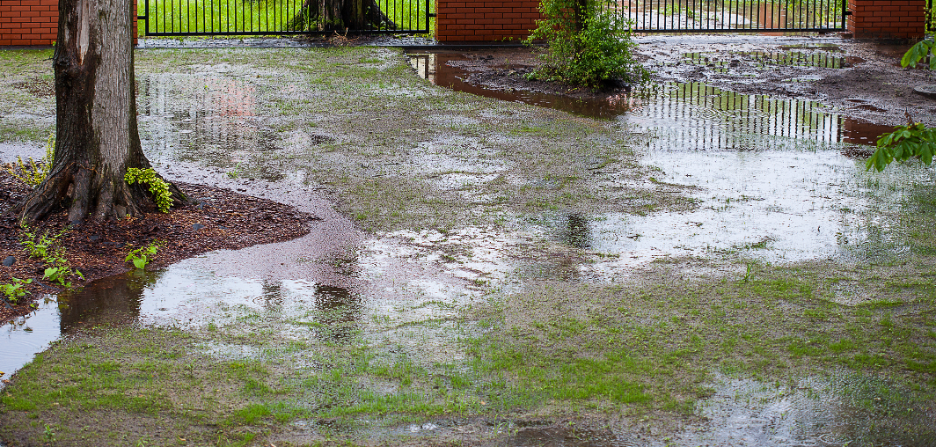 Yard drainage company in Chicagoland