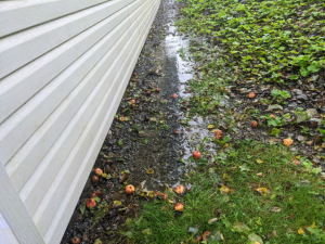 Basement Waterproofing Company in Clarendon Hills, Illinois