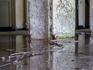 Basement Waterproofing Company in Lincolnshire, Illinois