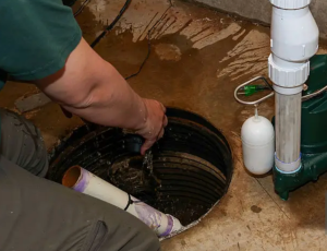 Sump Pump Replacement Company in Naperville, Illinois
