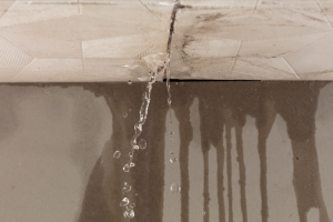 Basement Waterproofing Contractor in Elmhurst, Illinois