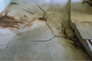 Basement Waterproofing Company in Elmhurst, Illinois 