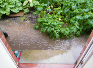 Sump Pump Replacement Company in Elk Grove Village, Illinois