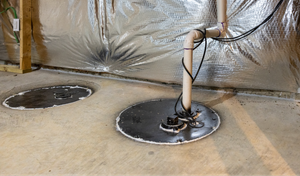 Sump Pump Replacement Company in Western Springs, Illinois