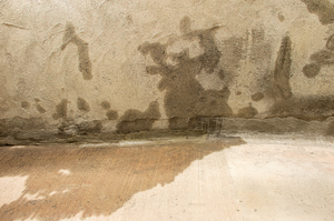 Basement Waterproofing Company in Elgin, Illinois